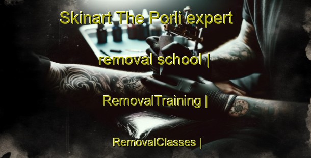 Skinart The Porli expert removal school | RemovalTraining | RemovalClasses | SkinartTraining-Gambia